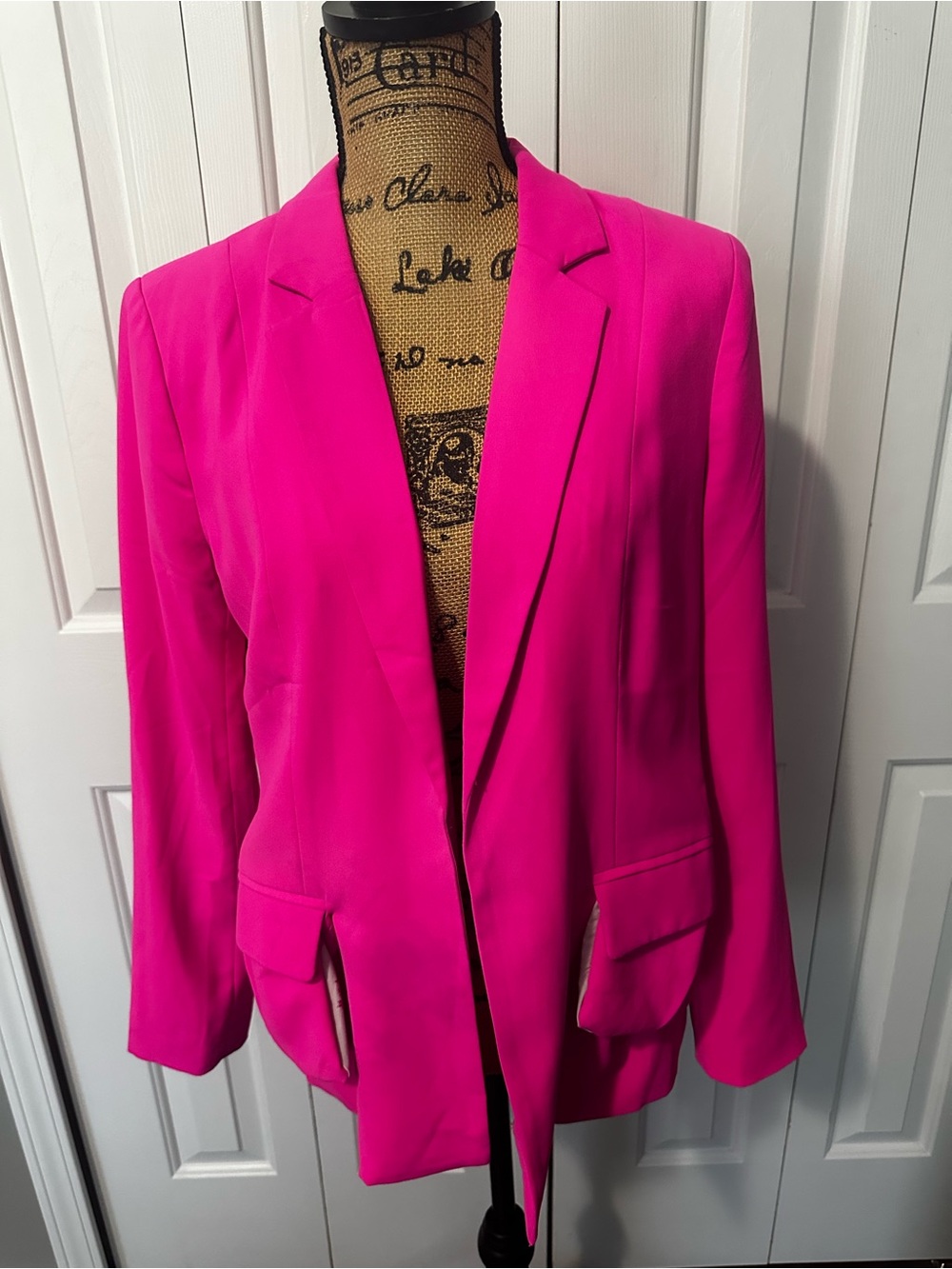 Skies Are Blue Hot Pink Blazer